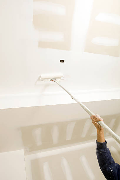 Best Mold Odor Removal Services  in Queensland, MD