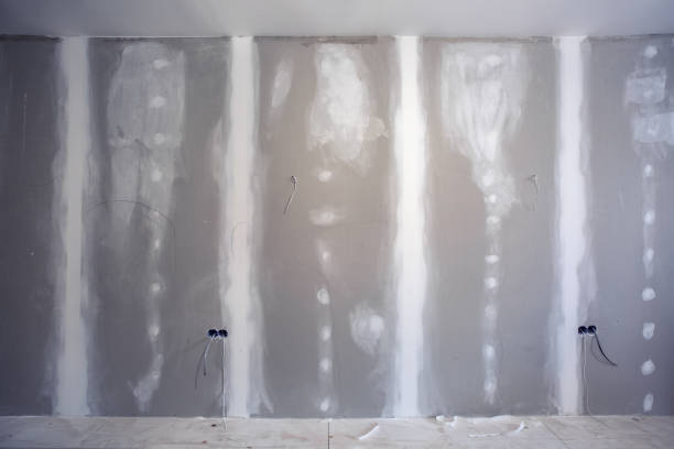 Best Black Mold Removal  in Queensland, MD